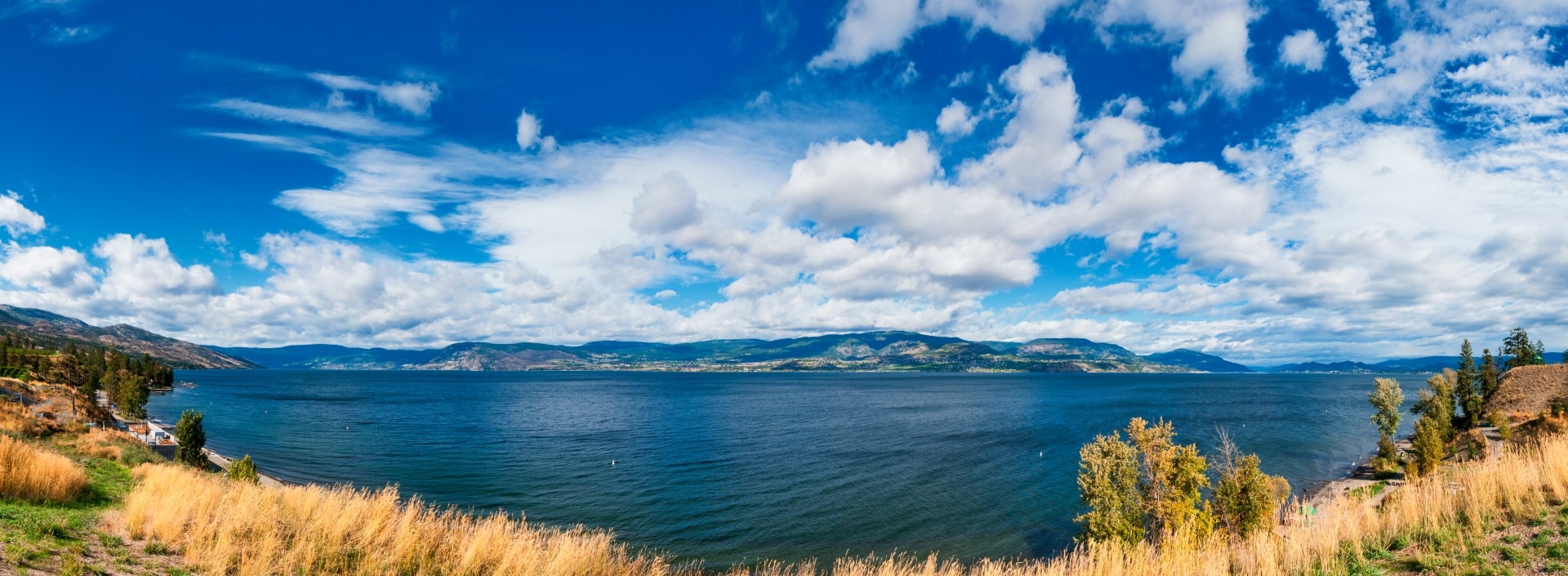 lakeshore-panorama-min.jpg