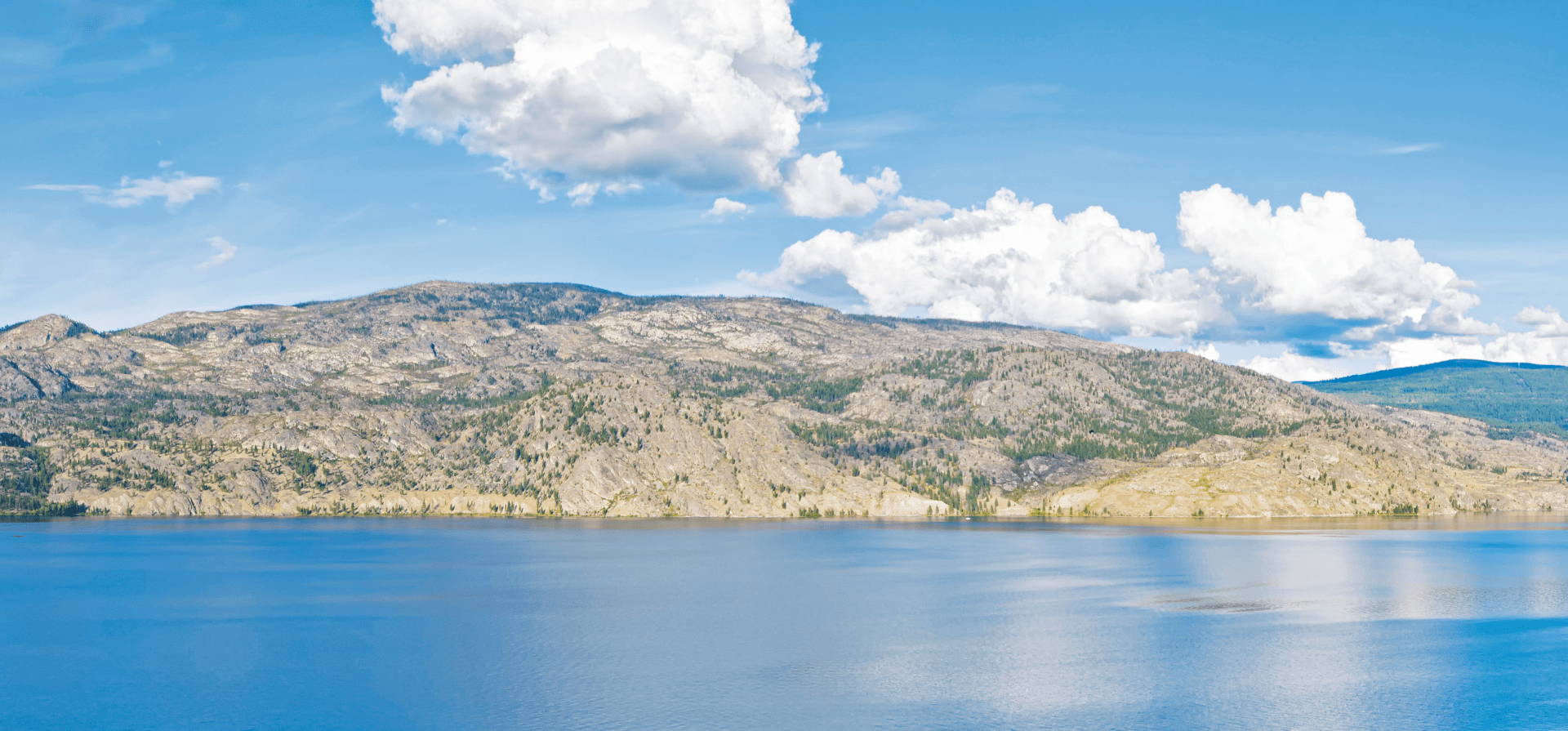 okanagan-lake-vista-min.png