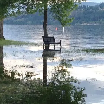 A flooded lakeshore with a park bench sitting in a few inches of water.