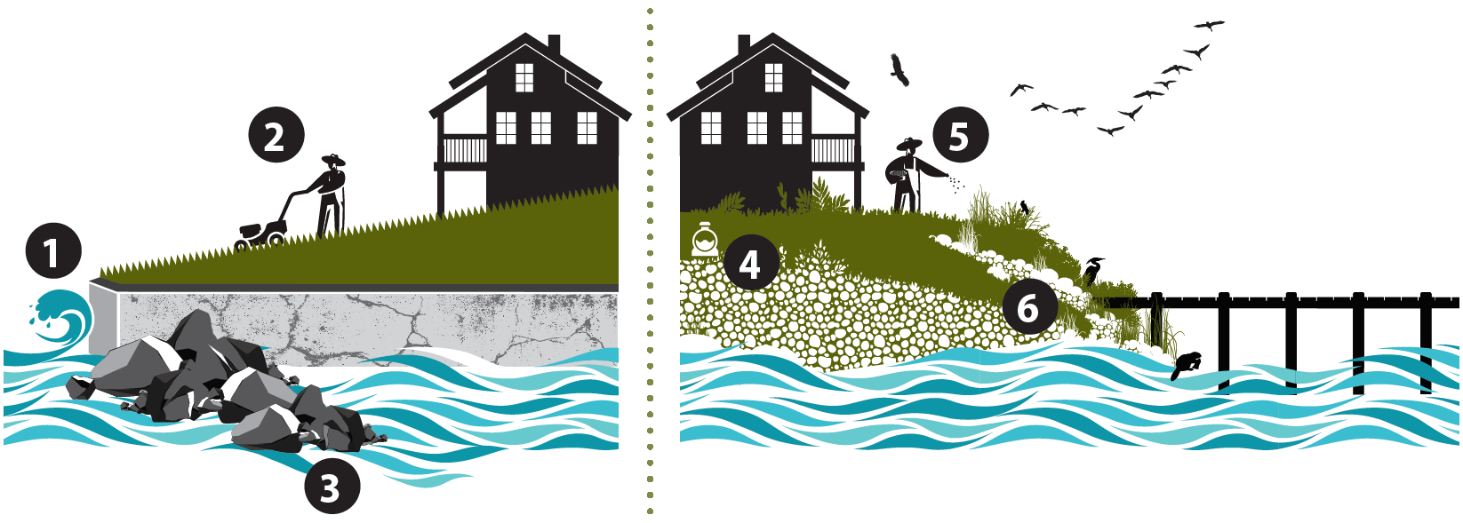 protect-water-and-natural-areas-with-simple-steps-graphic